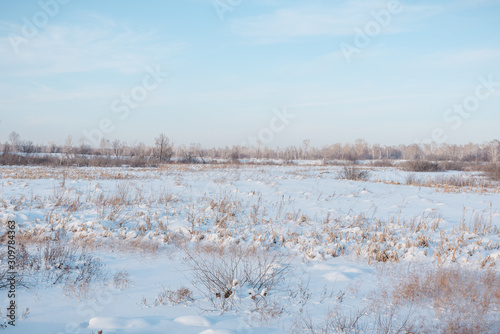 Wallpaper Mural Snow lies in the meadow. Snow fell on the grass. Snow on the bushes. Winter has come. Winter landscape Torontodigital.ca