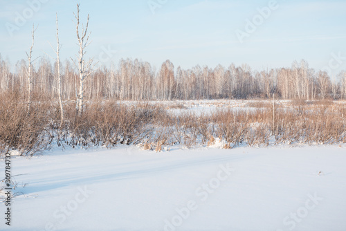 Snow lies in the meadow. Snow fell on the grass. Snow on the bushes. Winter has come. Winter landscape © Sergey_Siberia88