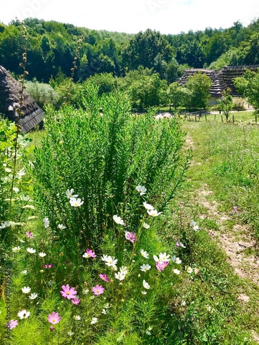 Ukrainian old village