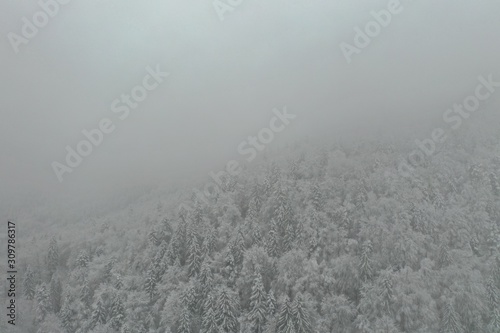 Aerial view of a frozen forest with snow covered trees at winter.