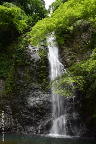 日本の滝 © Nozomi
