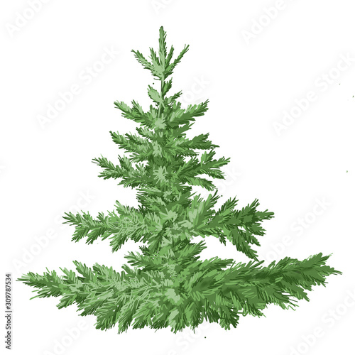 Christmas tree, digital illustration