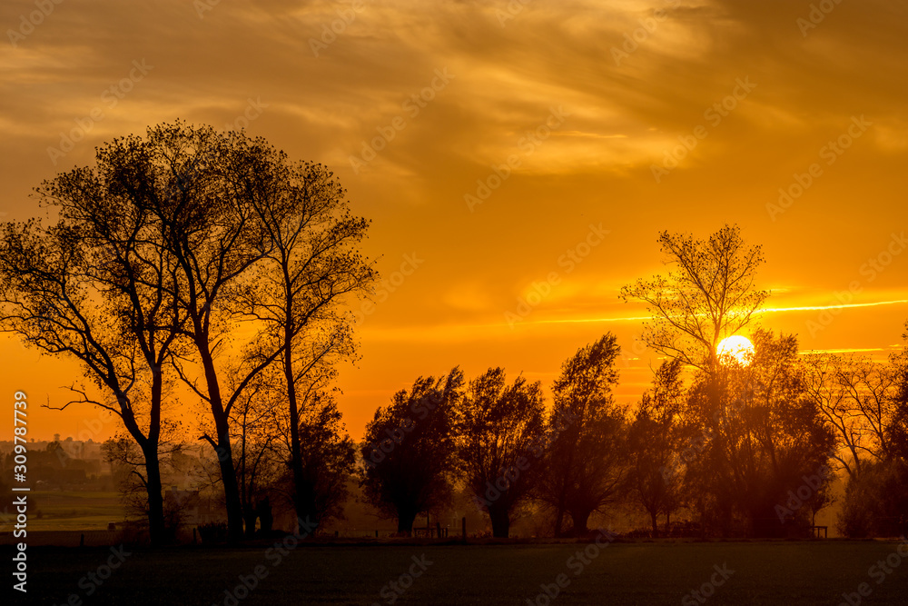 Naklejka premium landschap