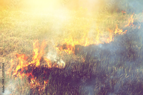 Fototapeta Naklejka Na Ścianę i Meble -  fire on the field, Burn fields to prepare the soil for planting