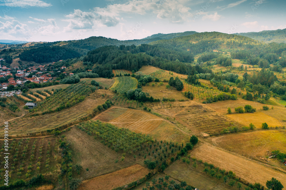 Aerial top view over a pine tree forest close to a small village. Forest landscape in late summer at sunset.