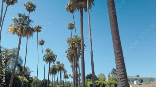 Los Angeles, California - Palm trees and streets of Beverly Hills. The city is home to many celebrities, luxury hotels, and the Rodeo Drive shopping district. Gimbal panning cinematic ProRes 422 photo