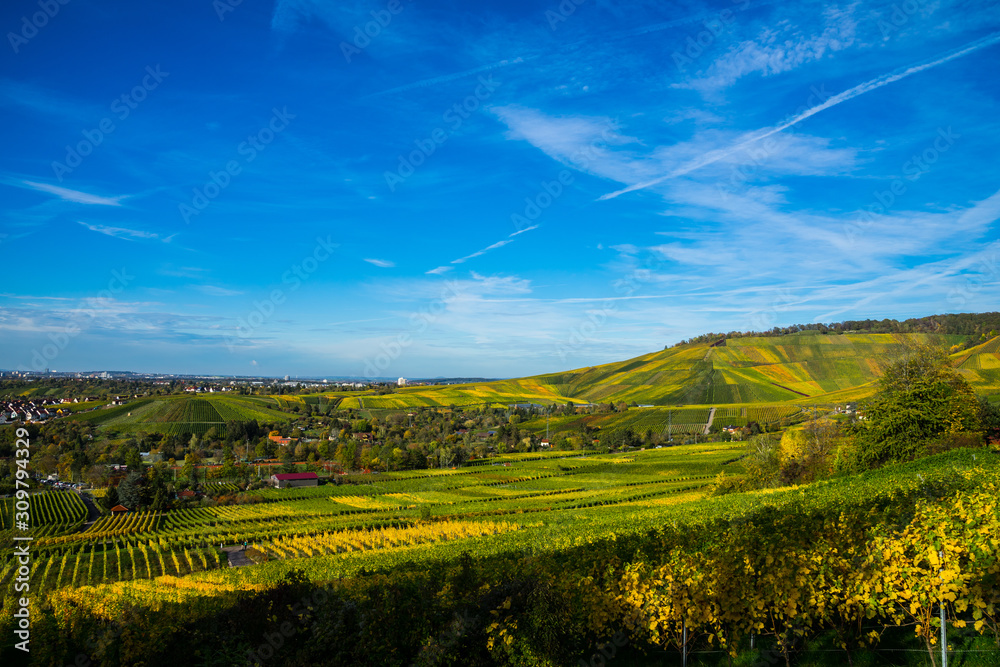 Germany, Beautiful colorful vineyards and forested kappelberg mountain in autumn season with blue sky next to fellbach and stuttgart