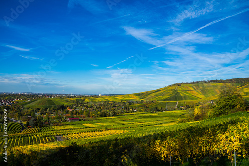 Germany  Beautiful colorful vineyards and forested kappelberg mountain in autumn season with blue sky next to fellbach and stuttgart