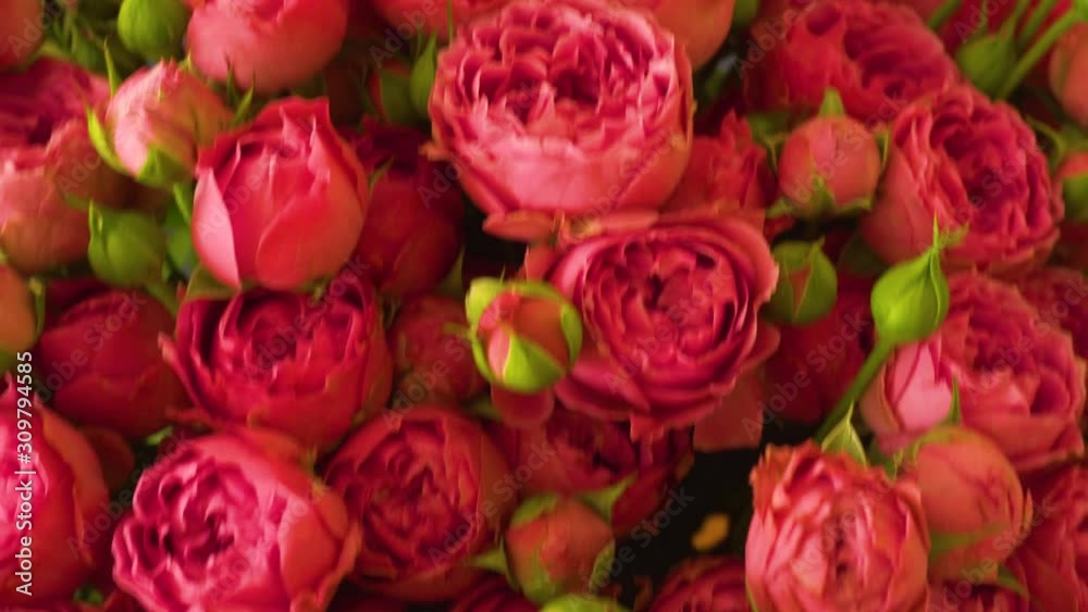 Panoramic view on bouquet with pink roses Panoramic view on bouquet with pink roses