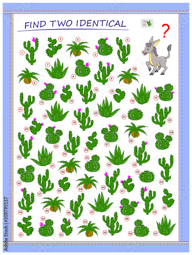 Help the donkey find 2 identical cactus. Logic puzzle game for children and adults. Printable page for kids brain teaser book. Developing spatial thinking skills. IQ test. Vector cartoon image.