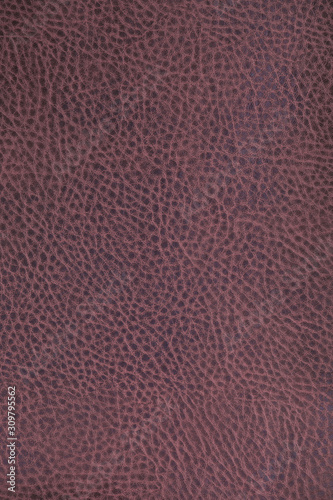 texture purple leather for car interior