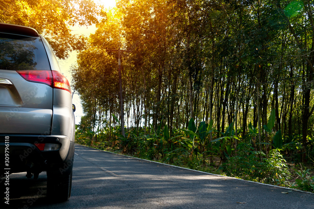 Obraz premium Luxury of family car rear view. On the asphalt road heading to nature of rubber tree forest. with orange light.