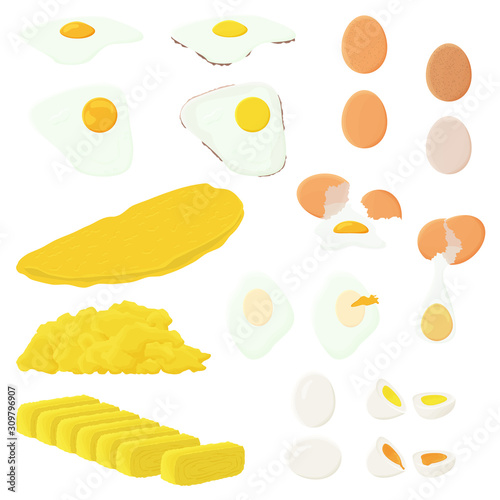 Eggs illustration set. Cooked, scrambled, omelette, raw, fired and tamagoyaki.  Vector. 