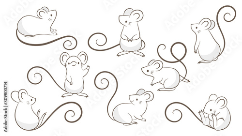Set of hand drawn rats, mouse in different poses on white background. Vector illustration, cartoon doodle style.