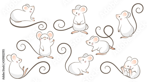 Set of hand drawn rats, mouse in different poses on white background. Vector illustration, cartoon doodle style. photo