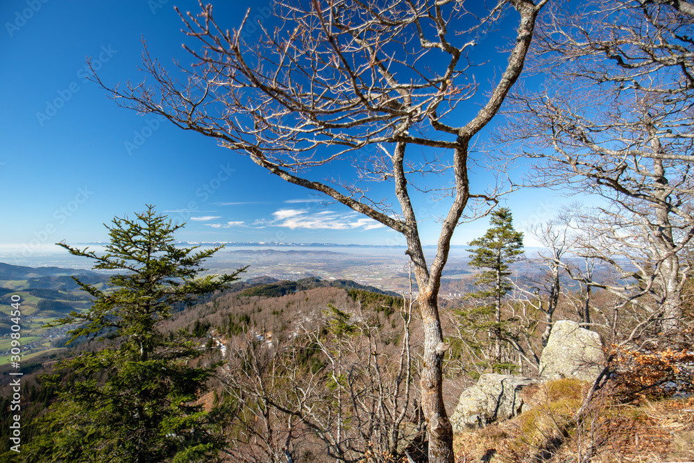 Winterlicher Blick von der Thomahütte auf die Rheinebene und die Vogesen Winterlicher Blick von der Thomahütte auf die Rheinebene und die Vogesen