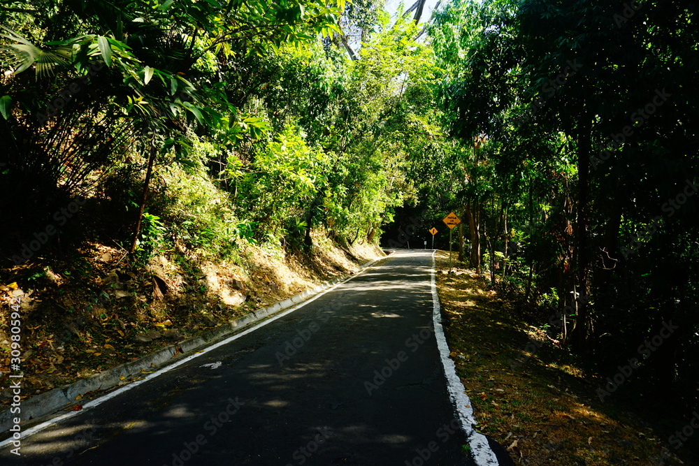 Fototapeta premium A traveler heading into the unknown. 