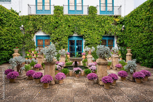 Courtyard garden of Viana Palace in Cordoba, Andalusia, Spain. photo