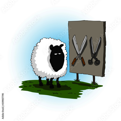 Lamb looking  at desk with scissors on it.