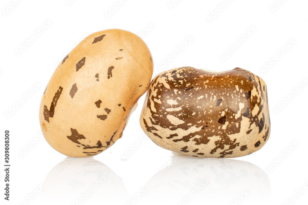 Group of two whole speckled brown bean pinto isolated on white background Group of two whole speckled brown bean pinto isolated on white background