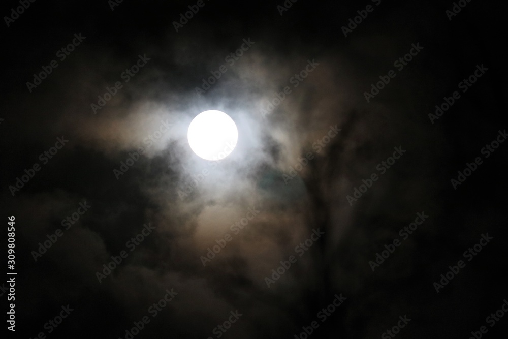 Lune Lune