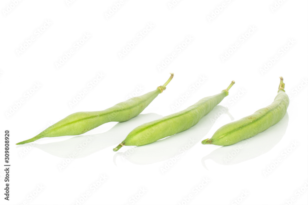 Group of three whole snap green bean isolated on white background Group of three whole snap green bean isolated on white background