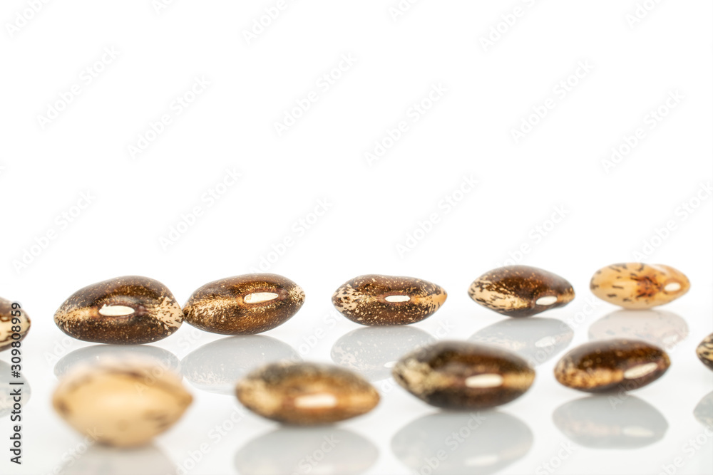 Lot of whole ripe speckled brown bean pinto isolated on white background