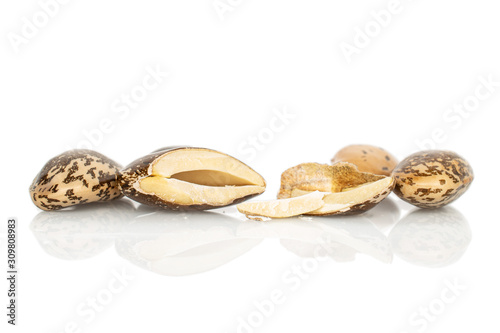 Group of four whole two halves of speckled brown bean pinto isolated on white background