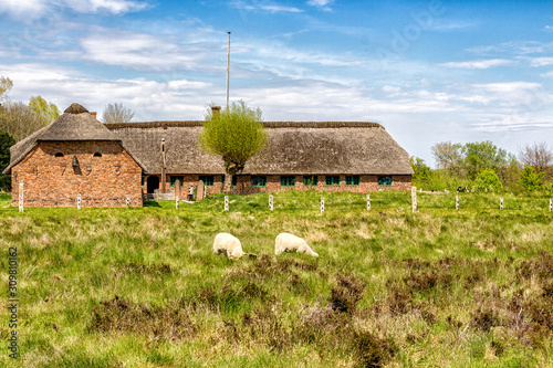 Old farm