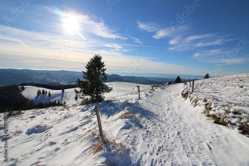 Fototapeta Naklejka Na Ścianę i Meble -  winter landscape with snowy trees and blue sky