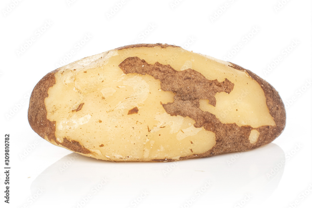 One whole unshelled brazil brown nut isolated on white background One whole unshelled brazil brown nut isolated on white background