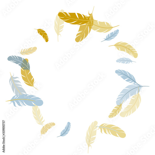 Detailed majestic feather on white design.