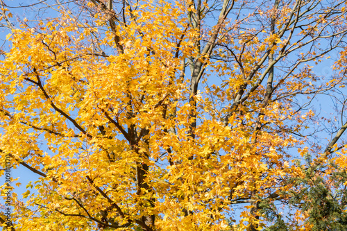 Herbsttag in Berlin