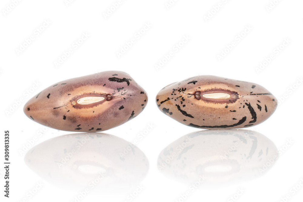 Group of two whole fresh speckled bean pinto isolated on white background Group of two whole fresh speckled bean pinto isolated on white background