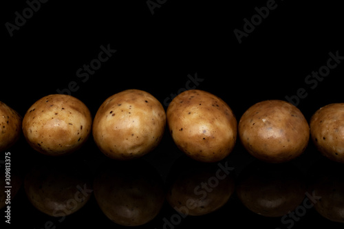 Group of six whole tiramisu brown almond nut line isolated on black glass
