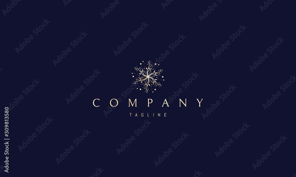 Fototapeta premium Vector golden logo on which an abstract image of a flower in the form of a star.