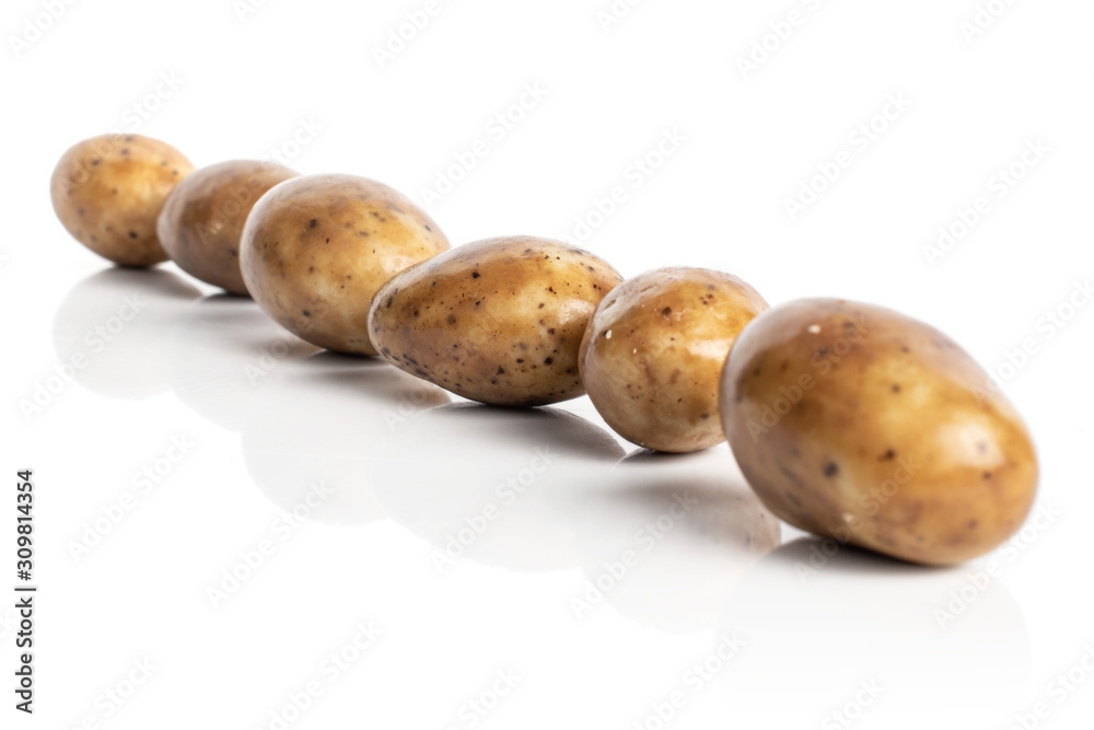 Group of six whole tiramisu brown almond nut diagonal isolated on white background Group of six whole tiramisu brown almond nut diagonal isolated on white background
