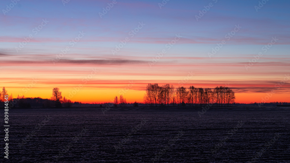 Beautiful dawn frosty morning over the field and birches in the distance