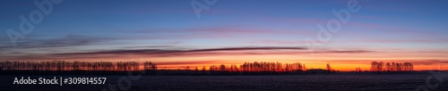 Large panorama of Beautiful dawn frosty morning over the field and birches in the distance