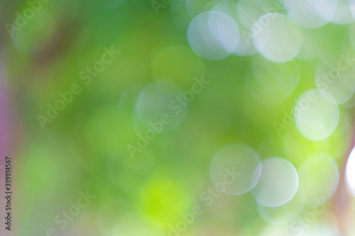 Green bokeh light nature from tree and sky background is a shiny naturally occurring shadow that is not clear but beautiful.