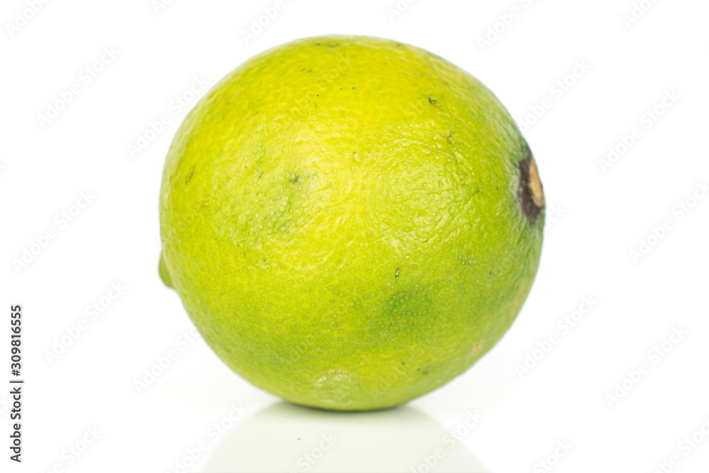 One whole ingredient guacamole lime isolated on white background One whole ingredient guacamole lime isolated on white background