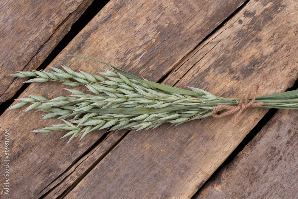 Young green wheat ears on wooden background. Sheaf of wheat ears on cracked wooden boards. Young green wheat ears on wooden background. Sheaf of wheat ears on cracked wooden boards.
