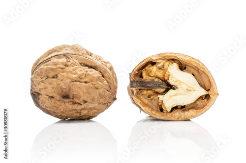 Group of one whole one half of mature fresh brown walnut isolated on white background