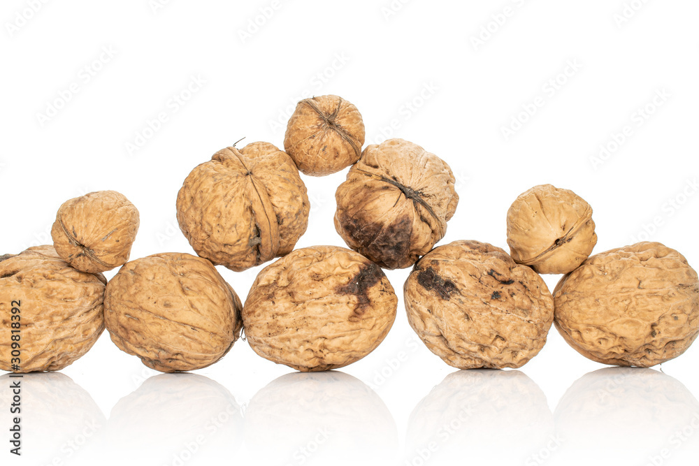 Lot of whole fresh brown walnut stack isolated on white background Lot of whole fresh brown walnut stack isolated on white background