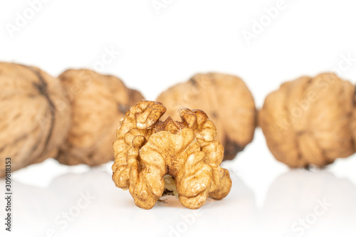 Lot of whole one piece of ripe fresh brown walnut isolated on white background