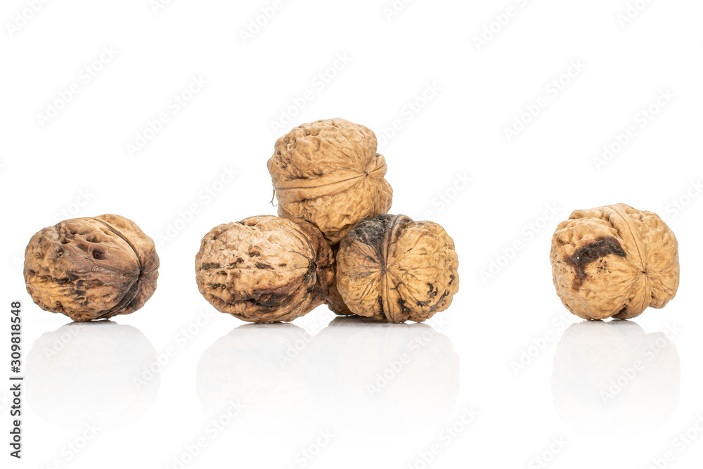 Lot of whole fresh brown walnut isolated on white background Lot of whole fresh brown walnut isolated on white background