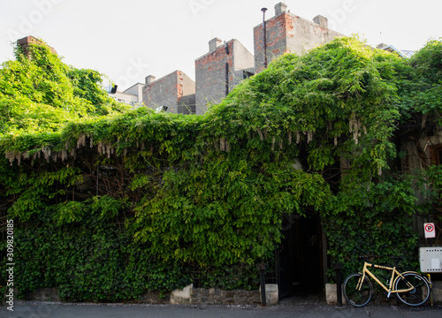 old house covered with vegetation in Bucharest city center photo