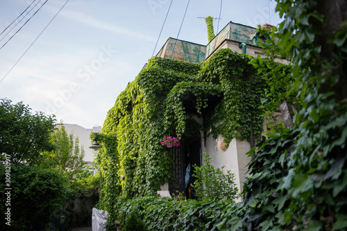 old house covered with vegetation in Bucharest city center photo