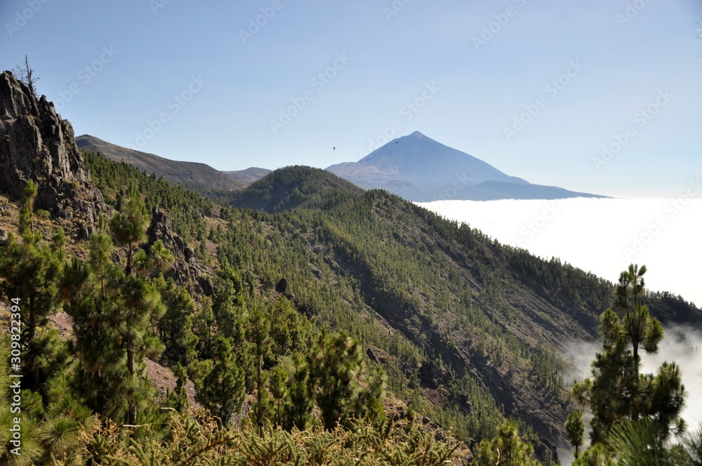 Teide Volcano in Tenerife Panorama with blue sky and clouds. view from afar with forest 