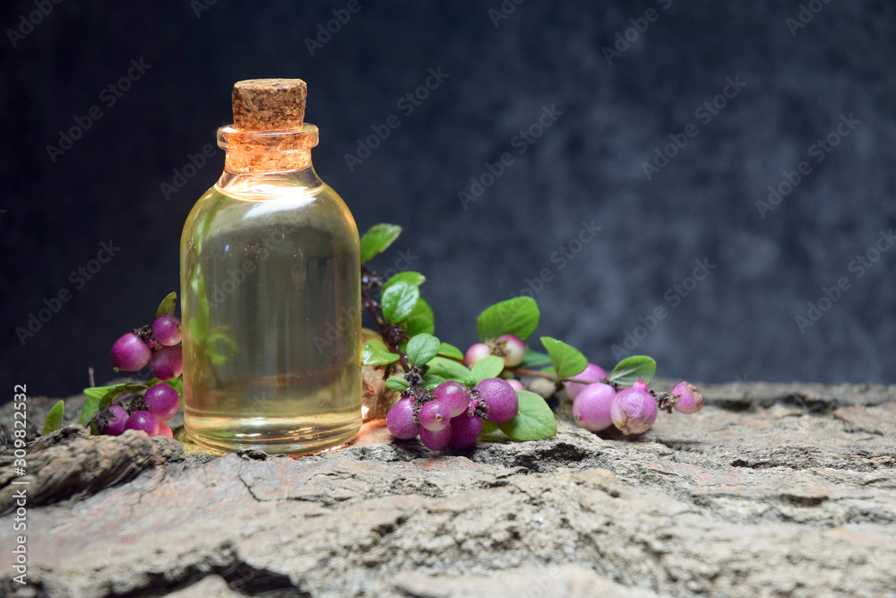 forest red berries tincture aroma oil forest red berries tincture aroma oil